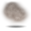 Brouillard