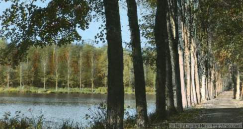 Balade en forêt de Hez-Froidmont