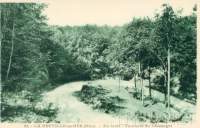 En forêt - tournant de l'Escargot