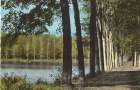 L'Etang