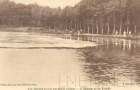 L'Etang et la forêt